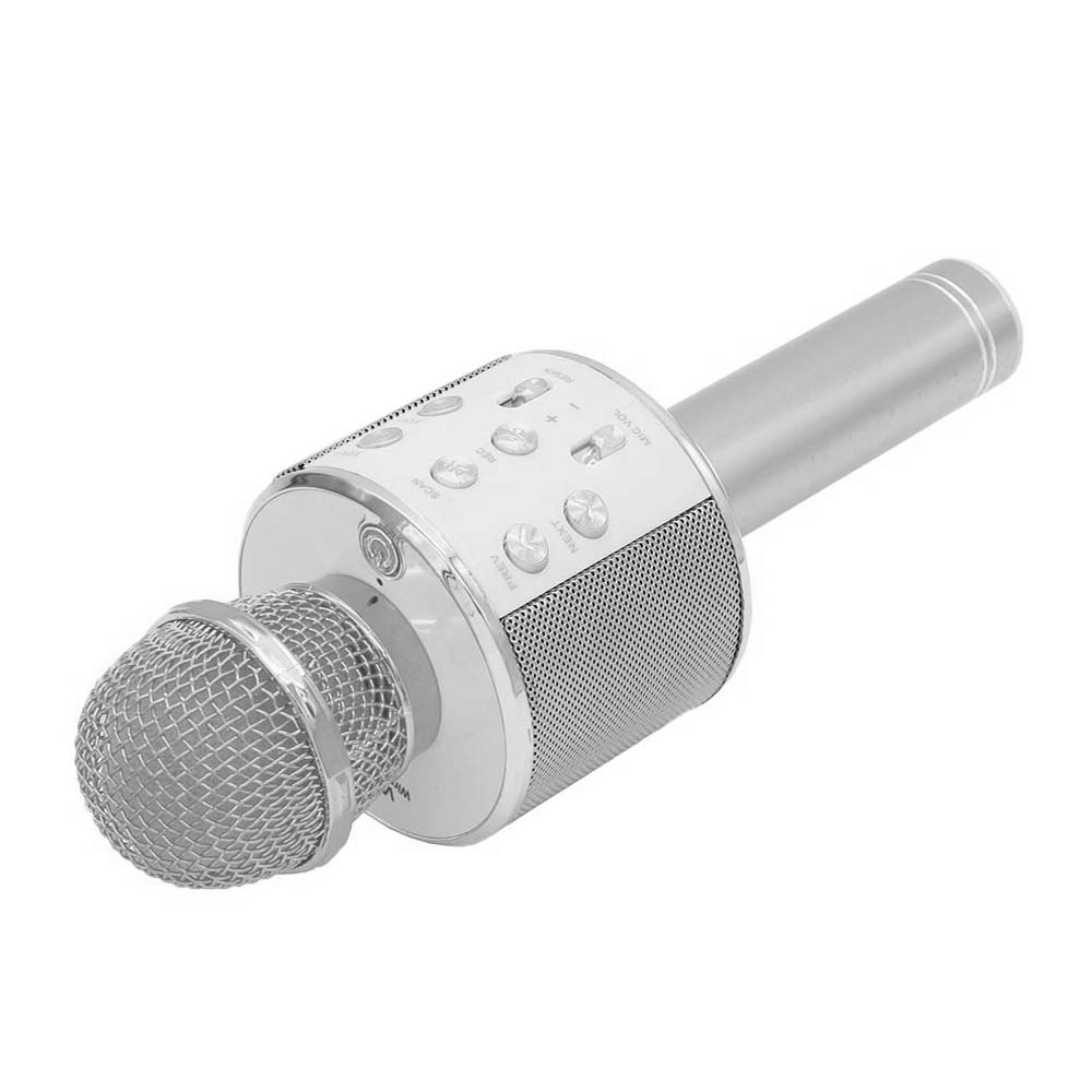 میکروفون و اسپیکر WS-858