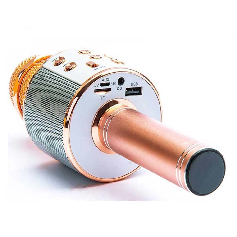 میکروفون و اسپیکر WS-858