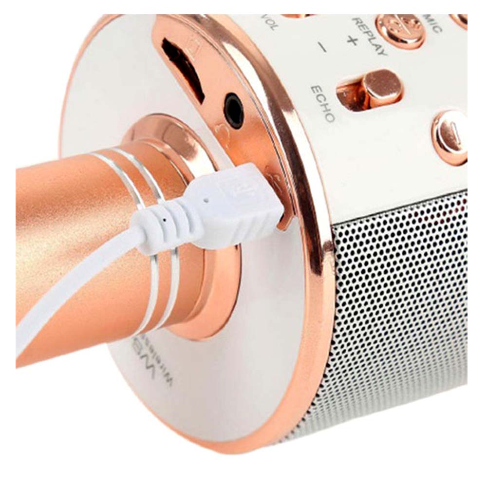 میکروفون و اسپیکر WS-858